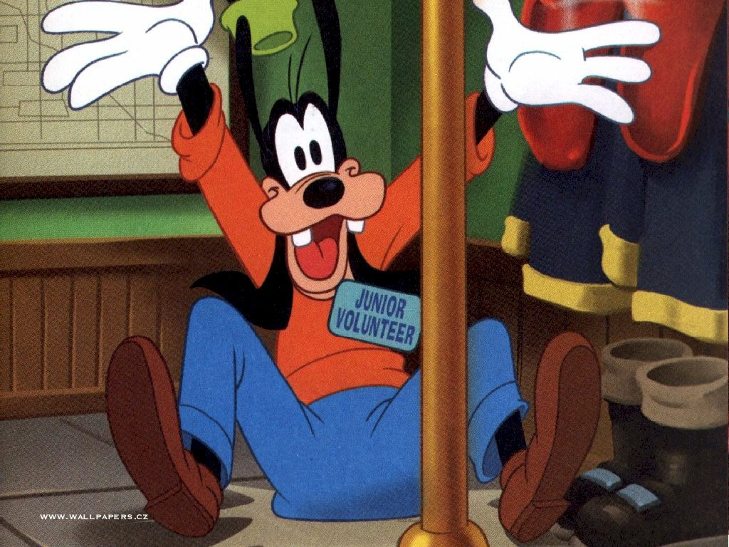 goofy2.jpg