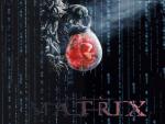 Matrix_012.jpg