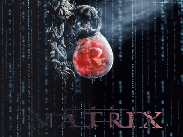 Matrix_012.jpg