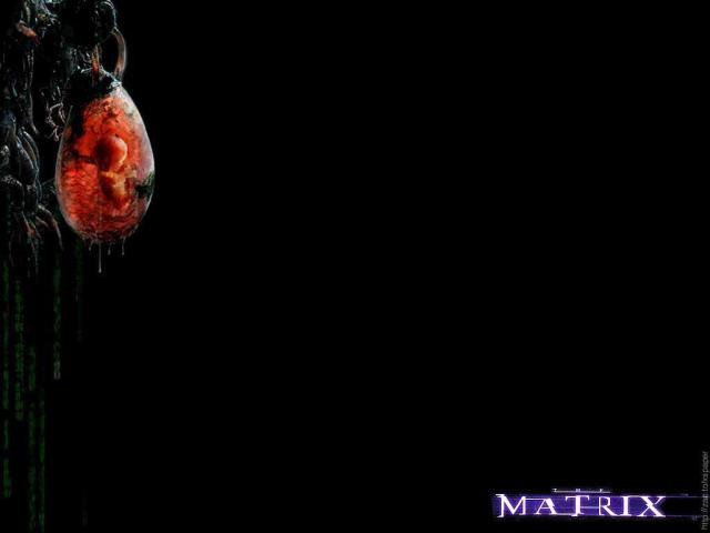 Matrix_014.jpg