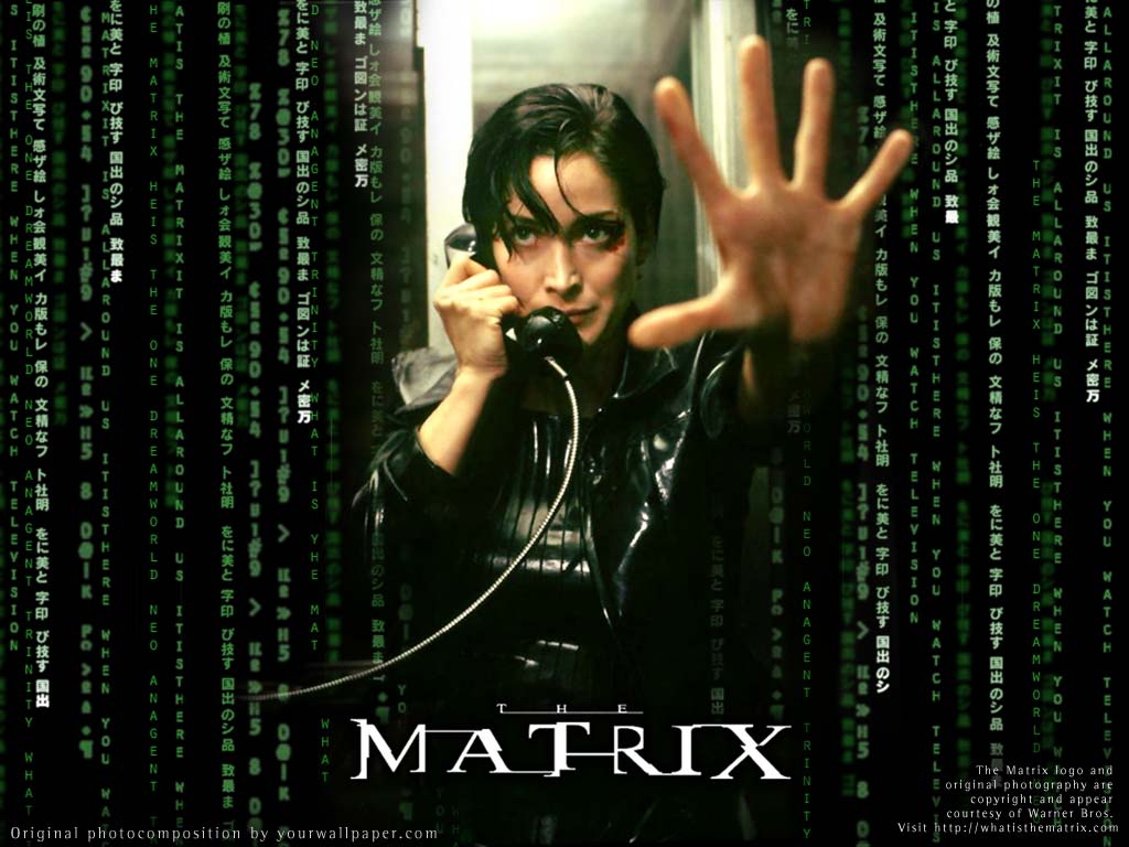 MATRIZ 6.jpg