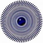 SPIN2.JPG