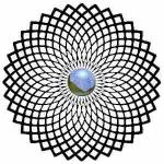 SPIN3.JPG