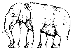 ELEPHANT.GIF
