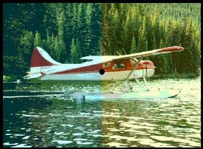 PLANE2.JPG
