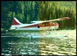 PLANE2.JPG
