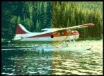 PLANE2.JPG