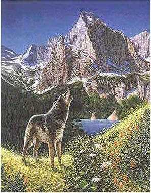 4WOLF.JPG