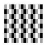 Illusions of color and contrast