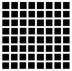 GRYSPOTS.GIF