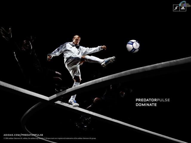 Sport_42.jpg