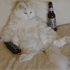 Аватар с белым котом пьющим пиво у телевизора