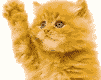 Avatar with waving by leg red kitten