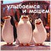 Картинка с пингвинами из мультика Мадагаскар
