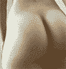 200474.gif