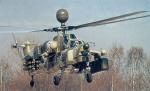 MI28.JPG