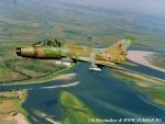 SU-17.JPG