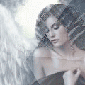 3_1572.gif