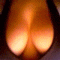 3_376.gif