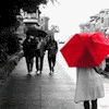 3_488.gif