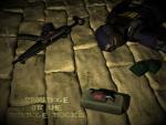 Counter  -  Strike _83_.JPG