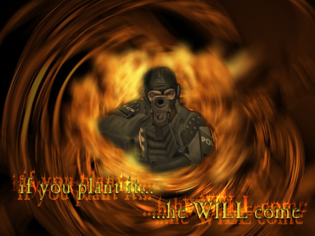 cswall4s2.jpg
