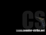 cswall5s10.jpg