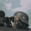 14621.gif