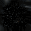 3_1390.gif