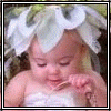 3_995.gif