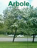 Анимированная аватара