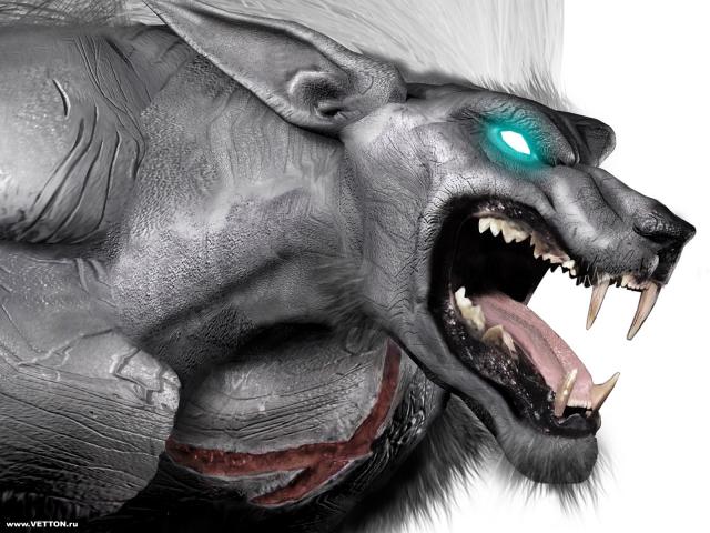 vetton_ru_334.jpg