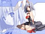 Ragnarok-wallpaper-jeune-fille-1024-768-02.jpg
