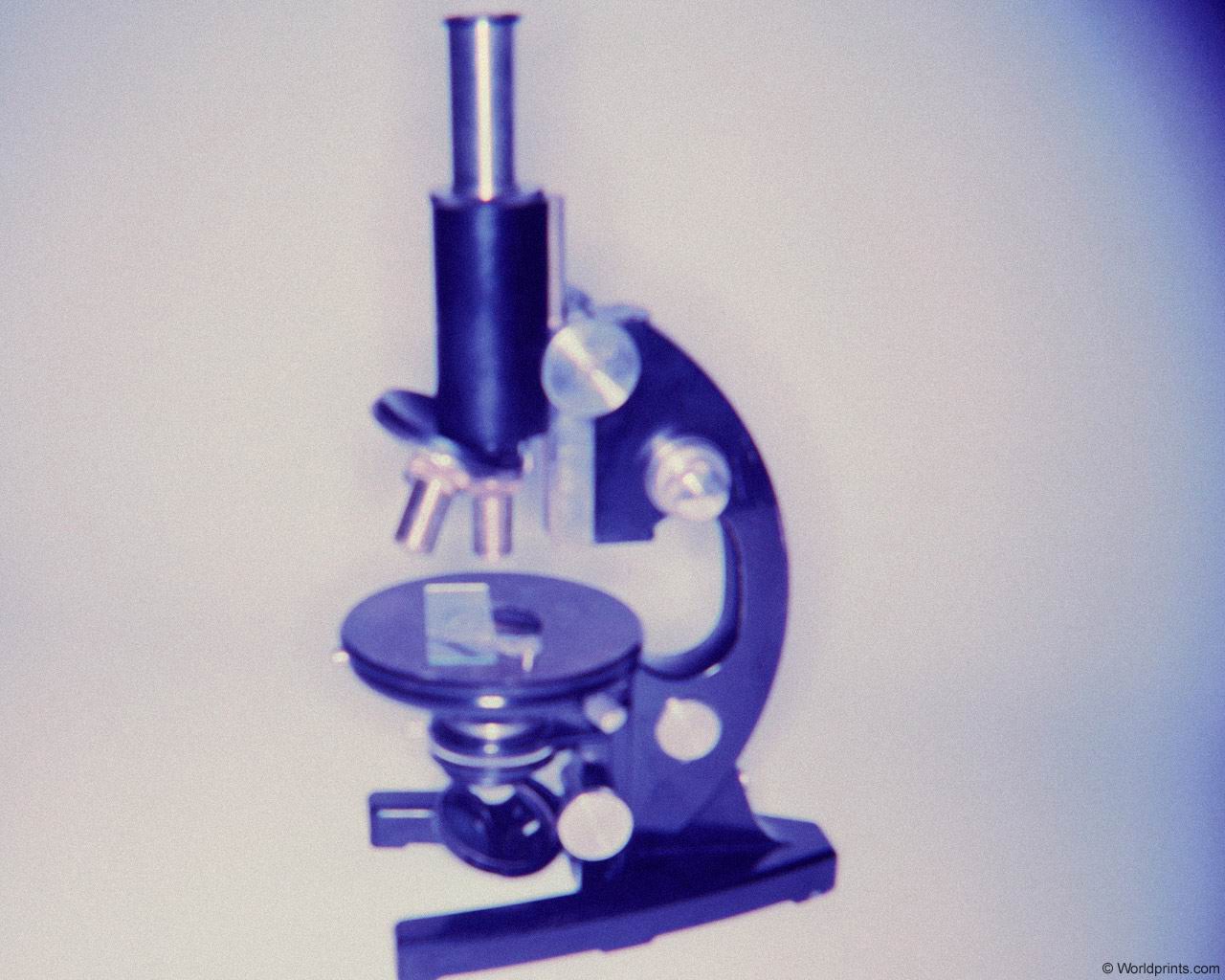 microscope4.jpg