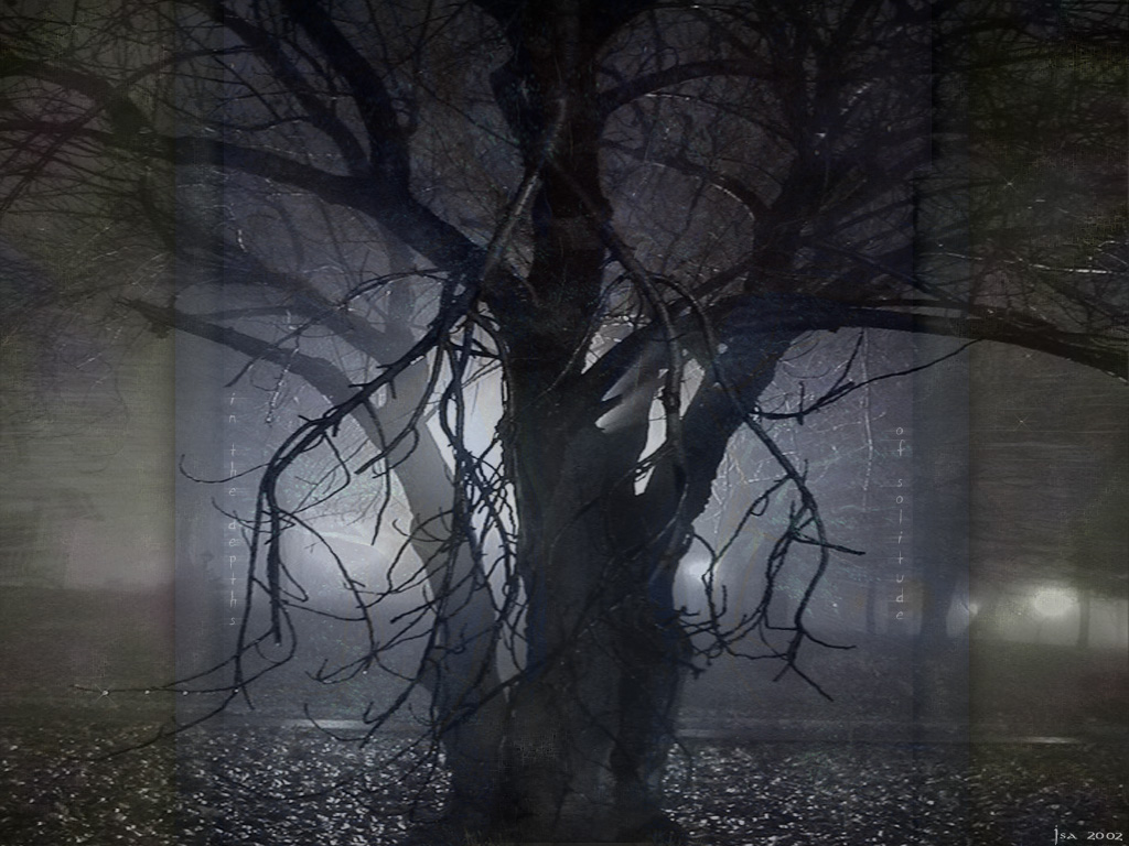 020630 ISA - solitude.jpg