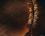 dried_fern002.jpg