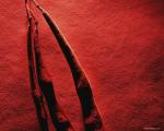 dried_seedpod003.jpg
