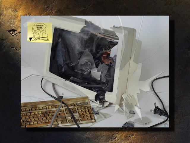 pic22.jpg
