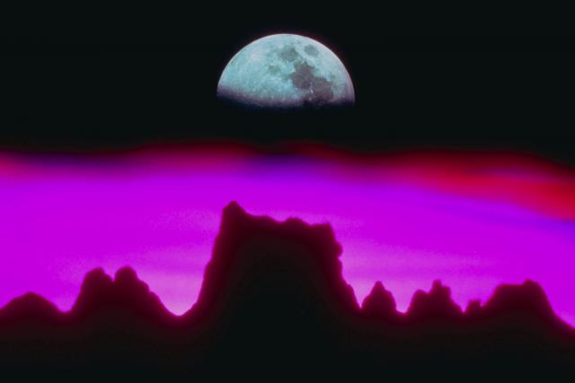 PINN20.jpg