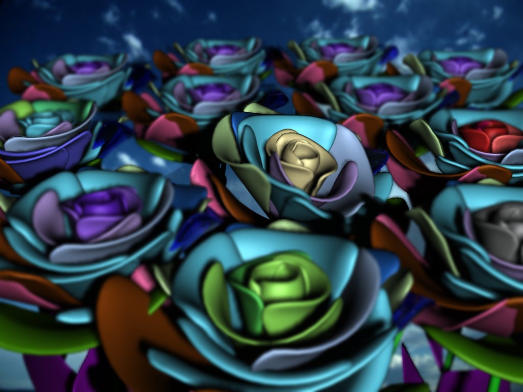 RoseField.jpg