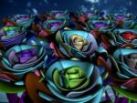 RoseField.jpg
