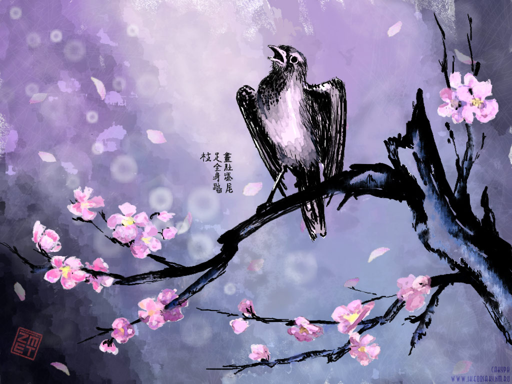 sakura.jpg