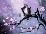 sakura.jpg