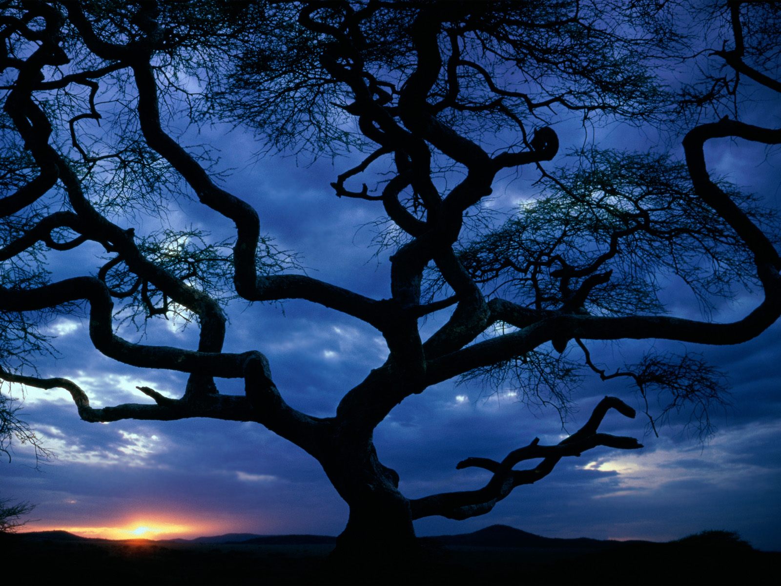 Serengeti National Park_ Tanzania.jpg
