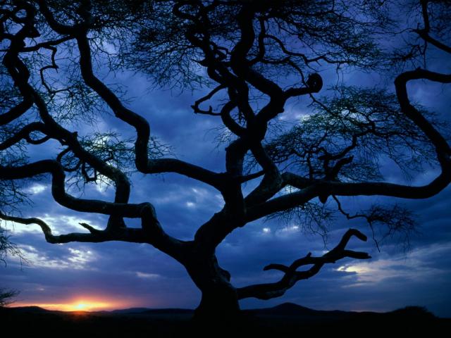 Serengeti National Park_ Tanzania.jpg