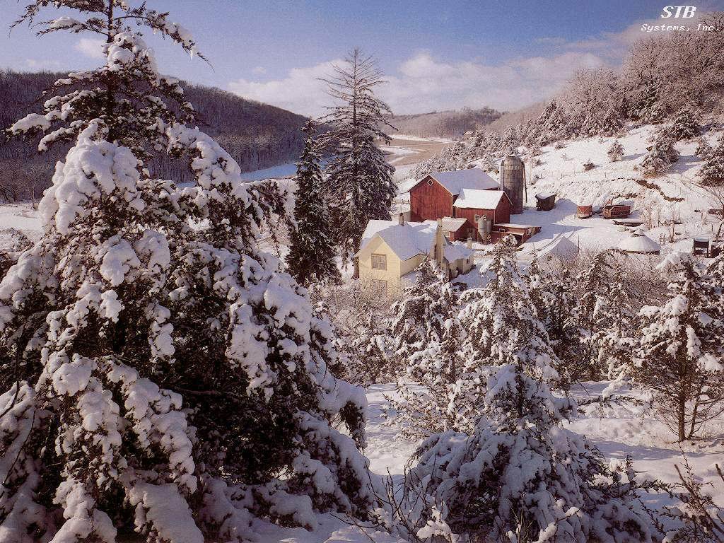 Wallpapers for desktop At home in a snow wood