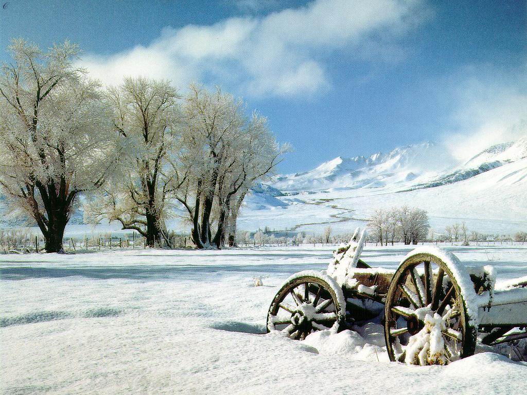 Desktop wallpapers The cart has got stuck in a snow
