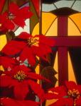 Photography of red colors at a window