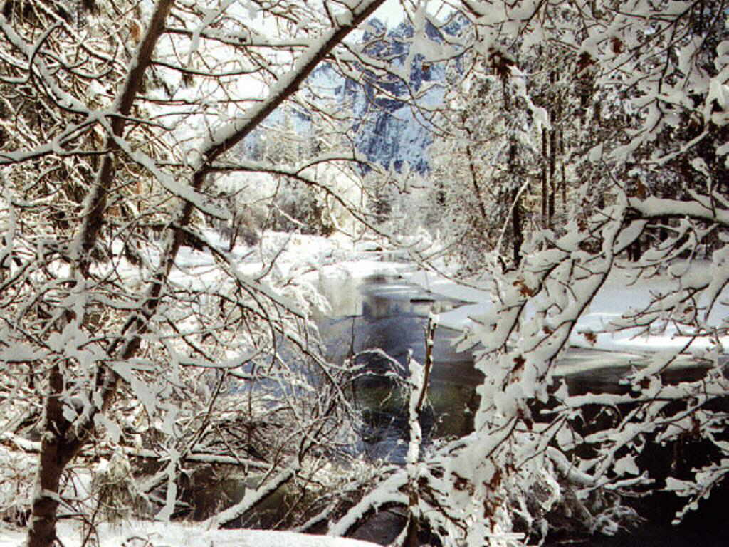 Wallpapers for desktop with branches of trees and the river
