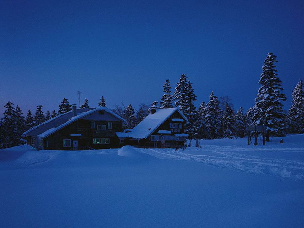 Вечернее фото дома на окраине леса